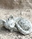 �ڻ��ߡ� �ѹ�SPARTA STATUES ��Small Cat A�� �����ǥ󥪡��ʥ���
