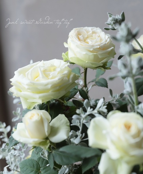 �ߥ˥Х顡�إѡ��륳����ʡ�