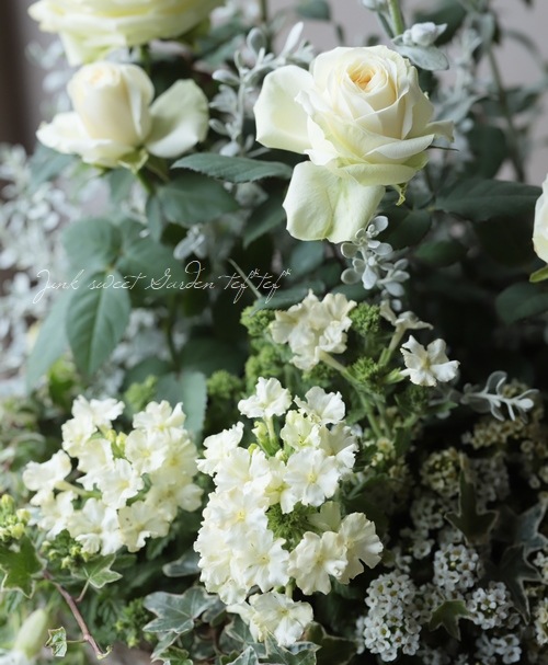 �ߥ˥Х顡�إѡ��륳����ʡ�