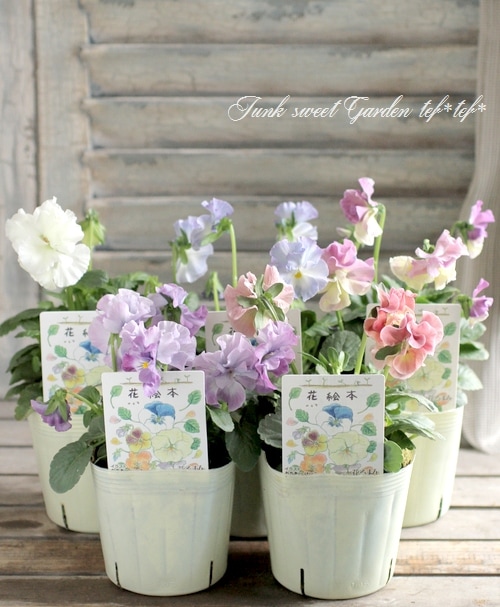 おがたけいこ　　フランチェスカの白い庭 フランチェスカの白い庭」おがたけいこ 「フランチェスカの白い庭」お