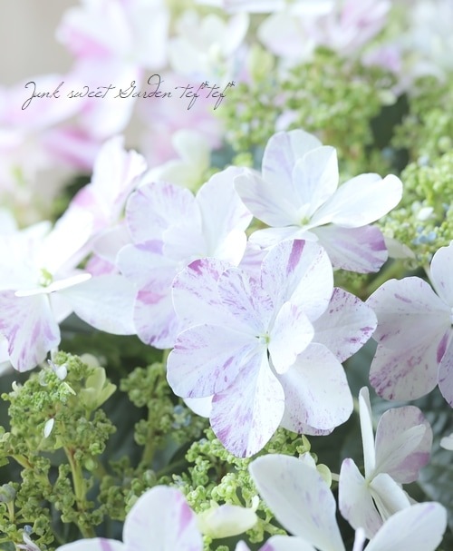 絞り模様の紫陽花 『衣純千織』 ブルー | すべての商品 | | Junk sweet