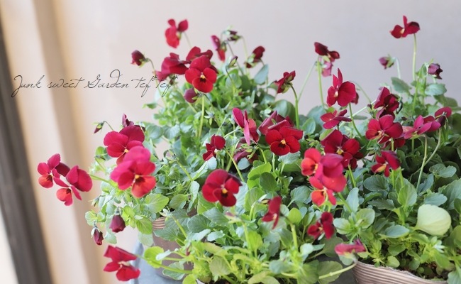 5_000000014739.jpg?1678209903