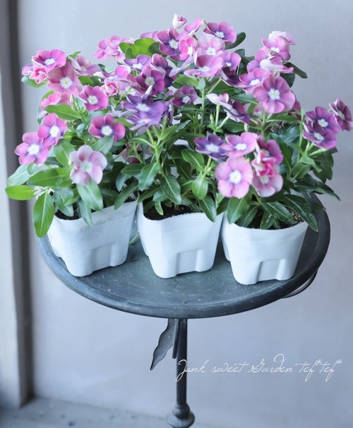 �������ݥ��ꥸ�ʥ�� �˥��˥��������إݥ륫�ɥåȡ��ԥ󥯡�