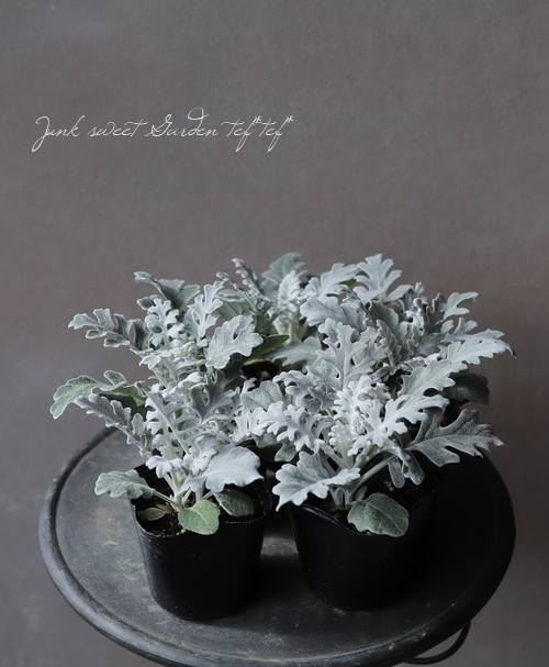 �����ƥ��ߥ顼�����������������إ���Х顼�ɡ� �إ���С������ȡ�  �ڳ�ʬ������롪��