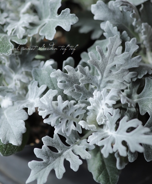 �����ƥ��ߥ顼�����������������إ���Х顼�ɡ� �إ���С������ȡ�  �ڳ�ʬ������롪��