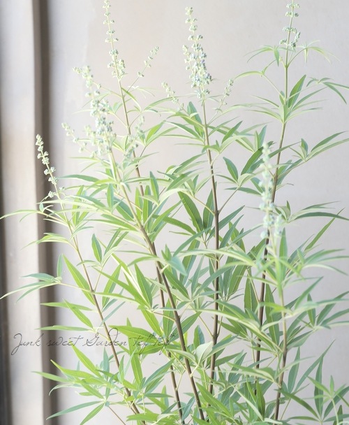 ���Υ˥󥸥�ܥ����إ֥롼�١�