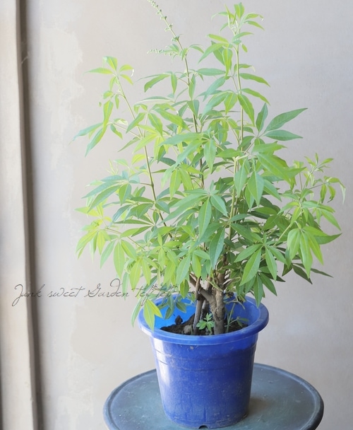 ���Υ˥󥸥�ܥ����إ֥롼�١�