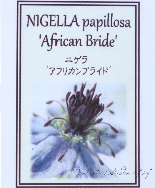 �ڹ�߷���������� �˥��顡�إ��եꥫ��֥饤�ɡ١�