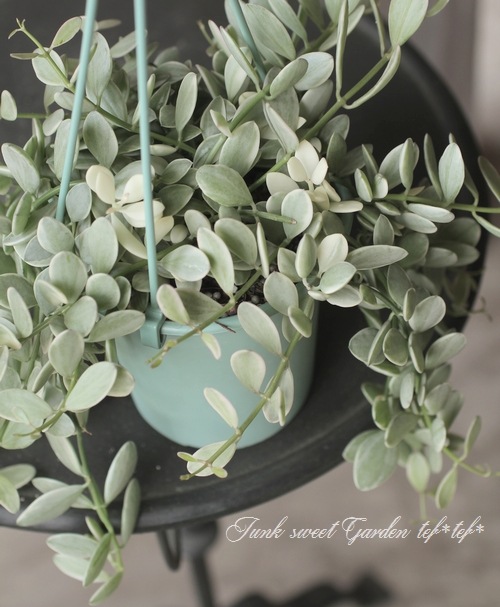 ������ǥ������ǥ������٥󥬥�󥷥����إ�����ɥͥå��쥹��