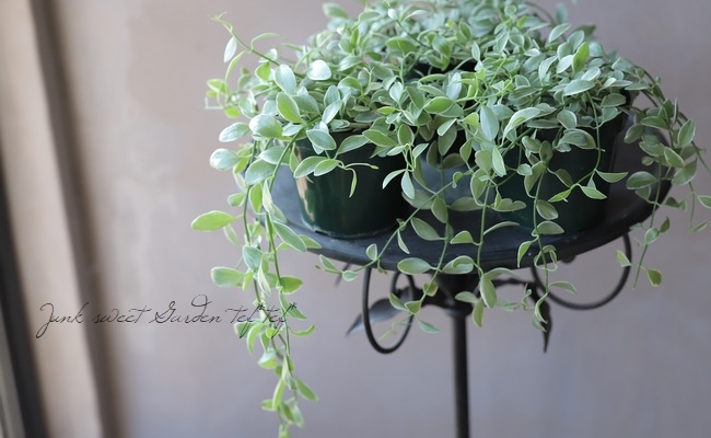 ������ǥ������ǥ������٥󥬥�󥷥����إ�����ɥͥå��쥹��