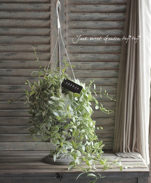 ������ǥ������ǥ������٥󥬥�󥷥����إ�����ɥͥå��쥹��