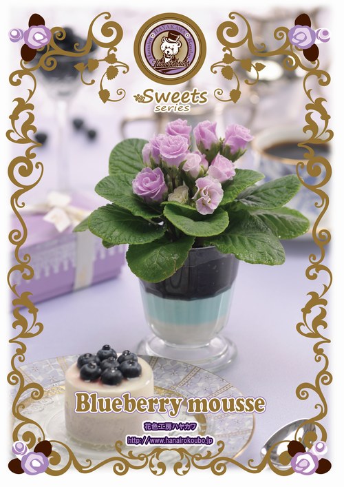 �ץ�ߥ��ࡦ�Х�餭�ʼ�ץ��顦����ꥢ�󡡡إ֥롼�٥꡼�Υࡼ����