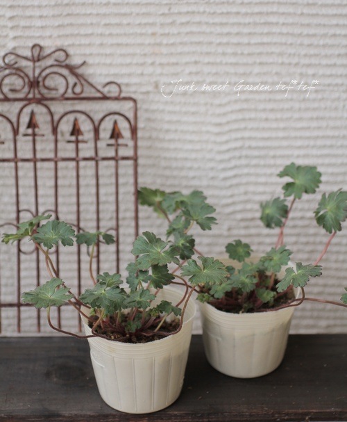 ����˥��� �إ��塼�ƥ��󥰥֥롼��