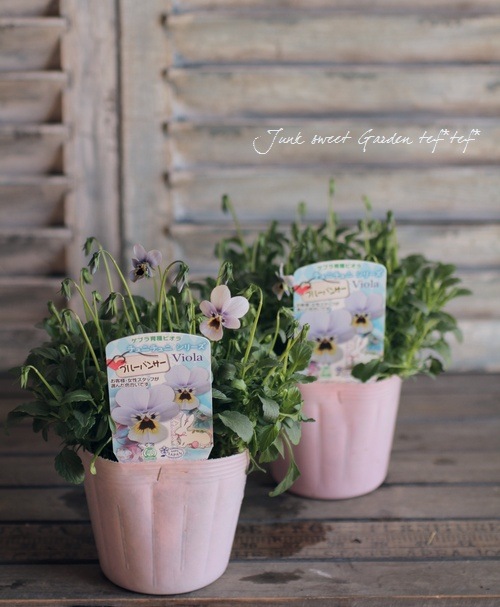 ゲブラさんのオリジナルビオラ ミステリアスシリーズ 『ブルーパンサー