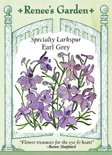 Ȭź餭顼ѡ إ륰쥤 Ի׵Ŀ