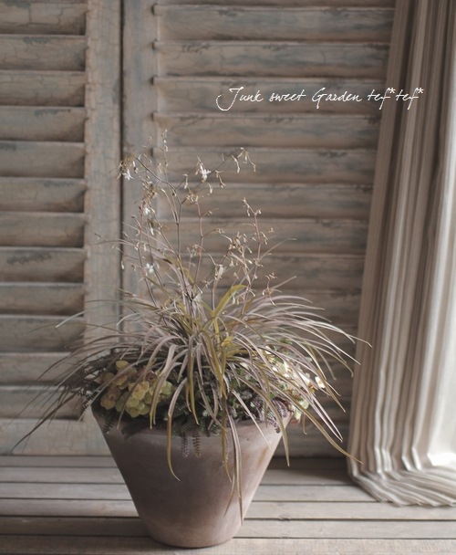 ץƥͥ顡إץåĥ֥å