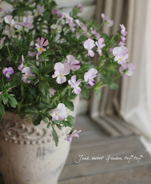 tef*tef*ƥ2014<BR>* no.14*<BR>إԥ󥯹ʤ