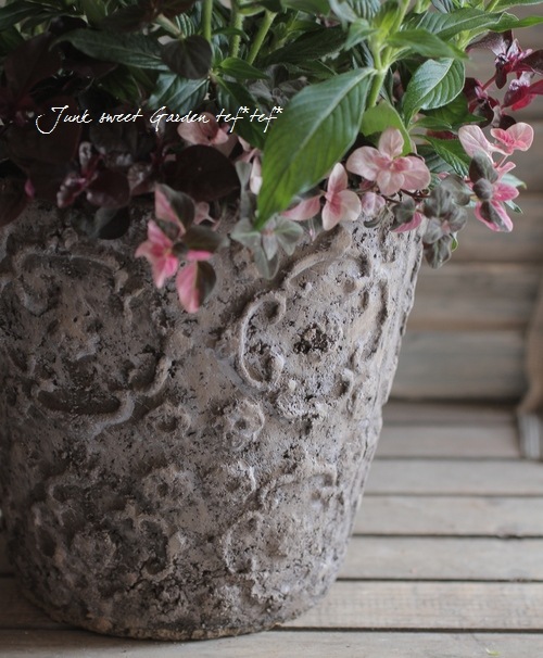 花便 tef*tef*寄せ植え<BR>2014 * no.4 *<BR><BR>八重咲きペンタス | 寄せ