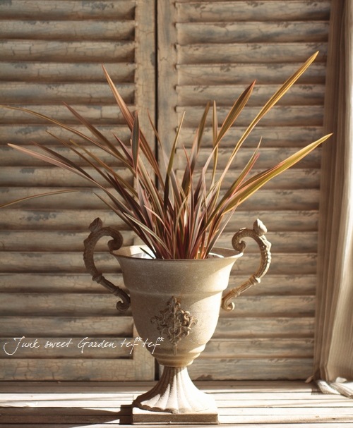 <i>Phormium</i><BR><BR>���㡼�פʥ饤��<BR>�˥塼�������<BR>�إ쥤��ܡ����������