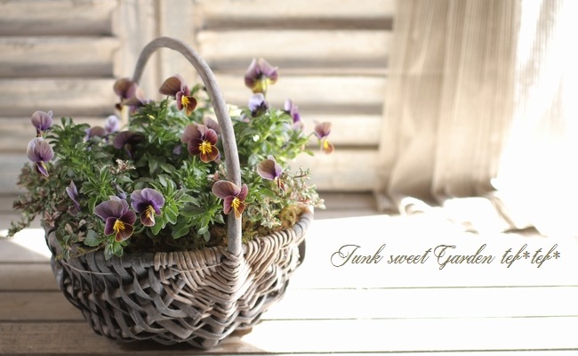 ������ƥ������ӥ��顡�إե����ƥåɥ��祳�졼�ȡ�