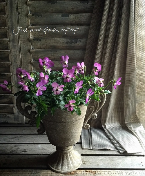 �ߤ�ȥӥ��顡�إҥ��»ΤΥ磻�󥰥饹��