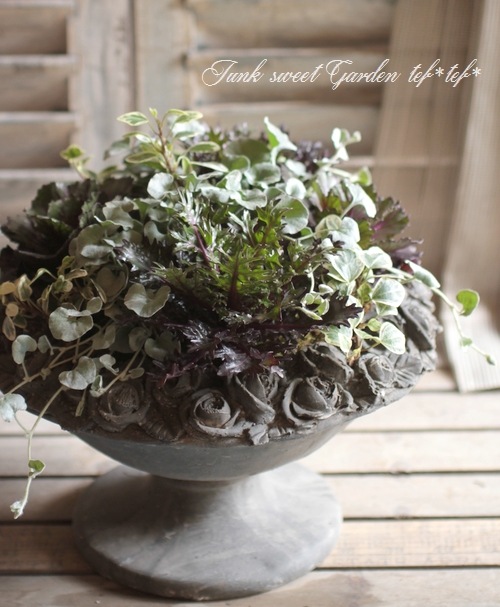 tef*tef*�󤻿���<BR>2014 * no.40 *<BR><BR>�ղ�ð�إ֥�å���