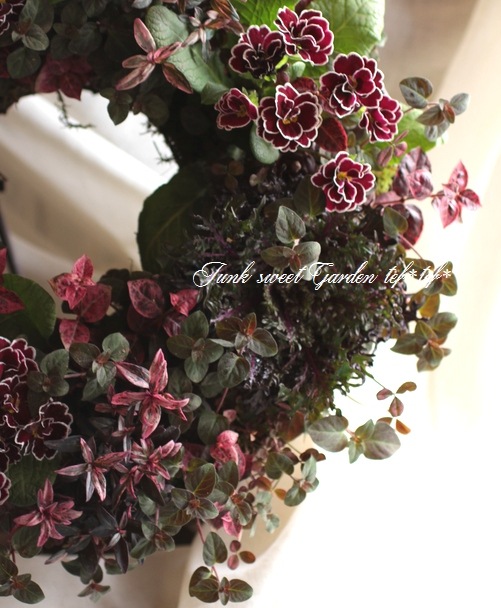 キムテイラーリース キム・テイラー・リース | alohastandardのブログ