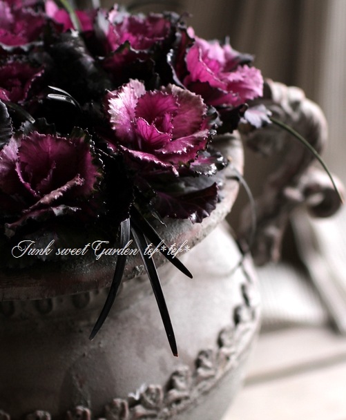 tef*tef*寄せ植え<BR>2014 * no.52 *<BR><BR>『ミニ葉牡丹のオブジェ