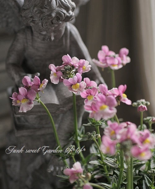 �͵��餭�����ɺ��ͥ᥷�����˥� �إԥ󥯥Х����顼��