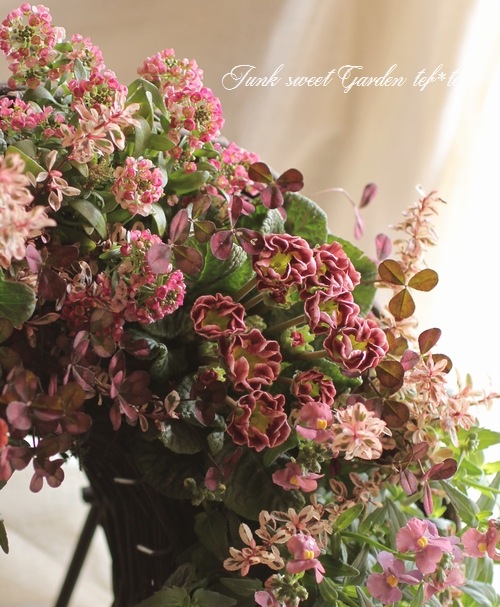 tef*tef*寄せ植えリース<BR>2014 * no.56 *<BR><BR>『アリッサム
