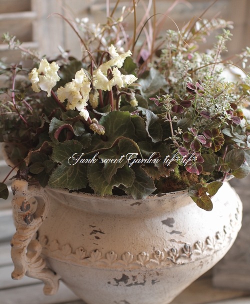 寄せ植え　フワリページ　プティフール プチフルール ネットショップ