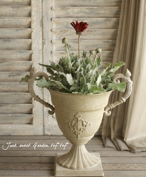 ֹͤ ȥ إ磻󥫥顼