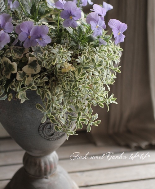 tef*tef*�󤻿���<BR>>2015 * no.6 *<BR><BR>�ӥ���إإ֥�꡼�֥롼�١ߥ֥ꥭ���å�