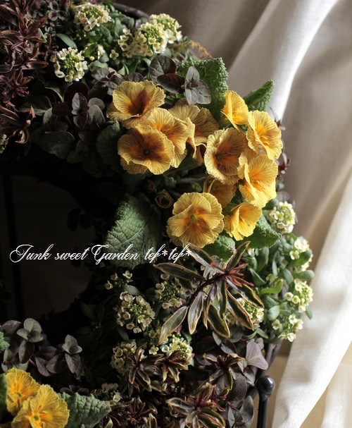 tef*tef*�󤻿����꡼��<BR>>2015 * no.22 *<BR><BR>�ץ���إǥ������Сٻ��ῧ