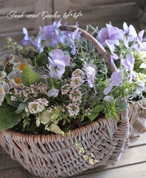 tef*tef*�󤻿���<BR>2015 * no29 *<BR><BR>�ѥ��ƥ�֥롼�֤���