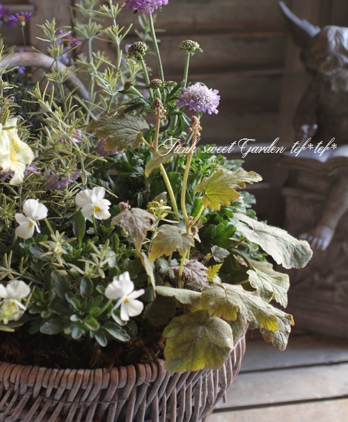 tef*tef*�󤻿���<BR>2015 * no30 *<BR><BR>���꡼��ߥѡ��ץ�֤���