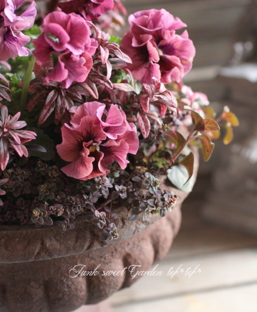 tef*tef*󤻿<BR>2015 * no37 *<BR><BR>եѥ󥸡Ƽ