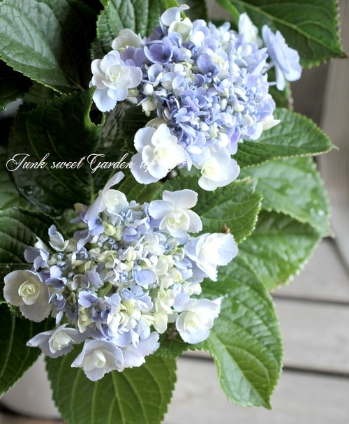 シーグラスアート　紫陽花とかたつむり　hirokopon様 ハンドメイド ⑧紫陽花とカタツムリ【Hydrangea*happiness】シーグラスアート