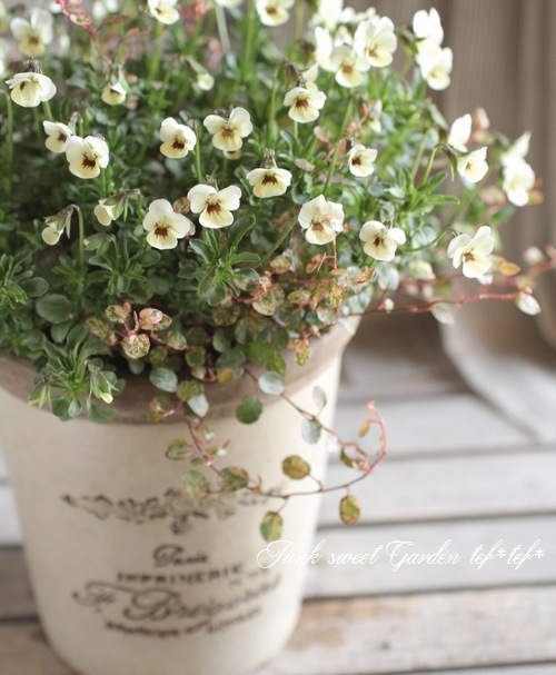 3.11 �����ƥ�.�ץ���������<BR><BR>��7�ͤξ��͡ٴ󤻿��� no.4