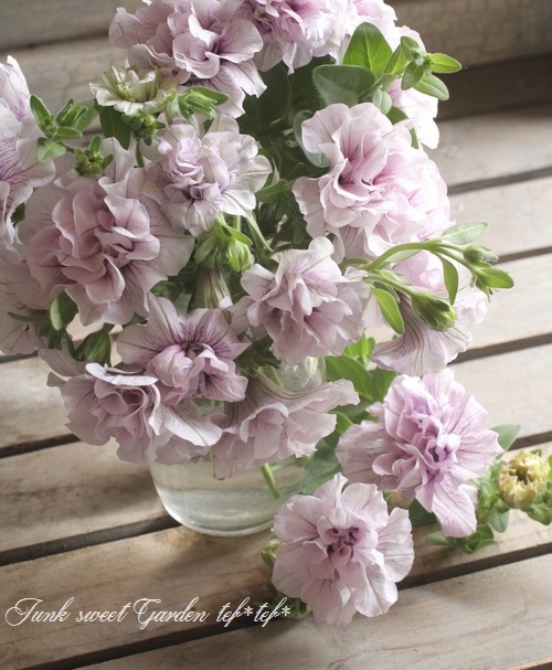 Ȭź餭ڥ˥ѥ˥إԥ󥯥