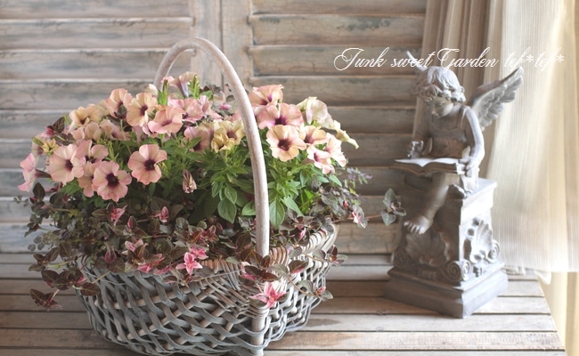 【花】 mqdefault.jpg