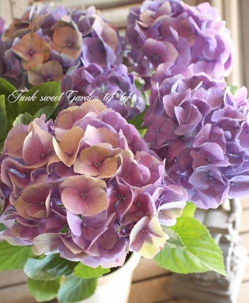 8.秋色紫陽花スワッグ 2.秋色紫陽花スワッグ