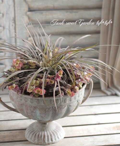 tef*tef*󤻿<BR>2015 * no68 *<BR><BR>ץΡߥ㡼