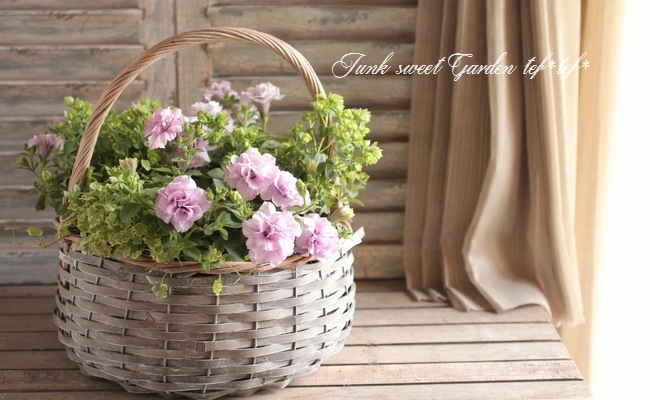 tef*tef*󤻿<BR>2015 * no73 *<BR><BR>إѥ˥١ߥХå