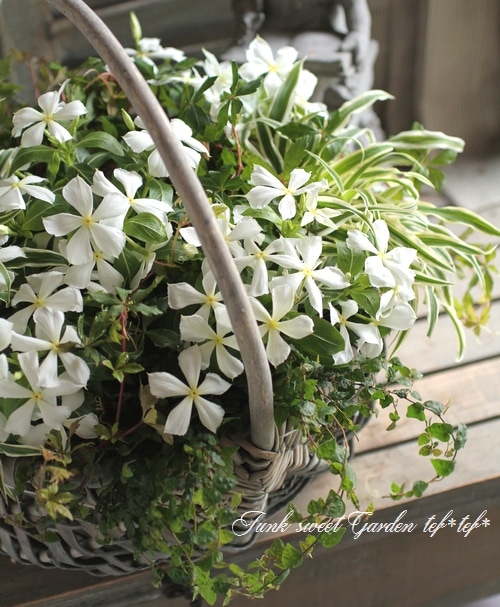 螢雪楼結灯@ハムちゃん法典 螢雪楼 結灯@ハムちゃん法典様専用