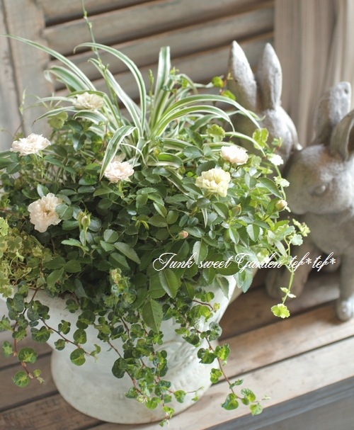 tef*tef*󤻿<BR>2015 * no91 *<BR><BR>ߥ˥Хإ꡼󥢥