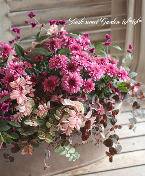 tef*tef*󤻿<BR>2015 * no95 *<BR><BR>ǥޥࡦԥ