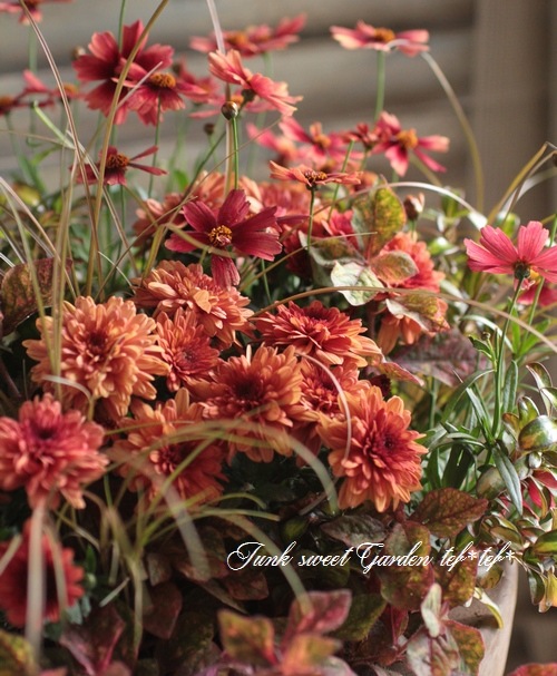 tef*tef*󤻿<BR>2015 * no98 *<BR><BR>ǥޥࡦå