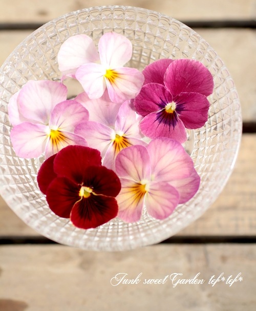 Ȭ���٥ӥ��顡�������ĥߥå������ؤ������ȥ��祳�ࡼ����