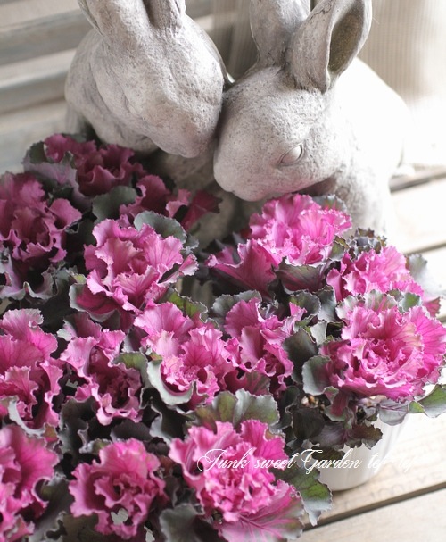 ֡Ωơߥ˥եղðإեȥǥ